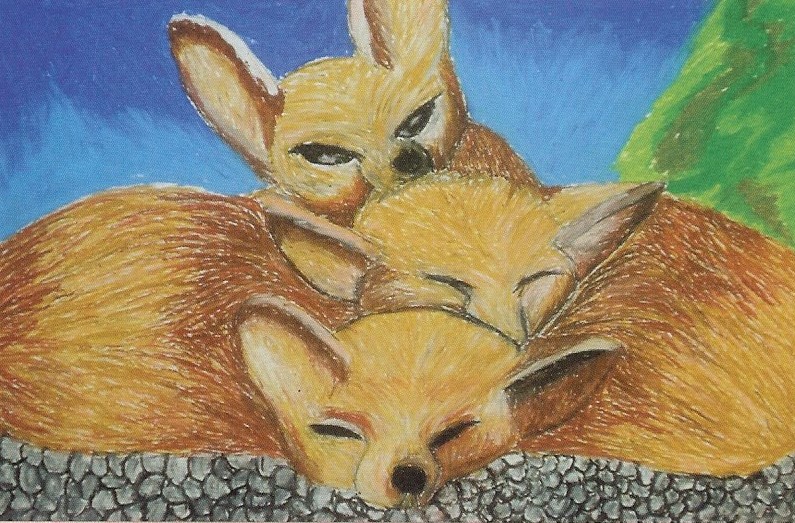 Childrens’ Art Competition on Pollinators – mid May TBC
