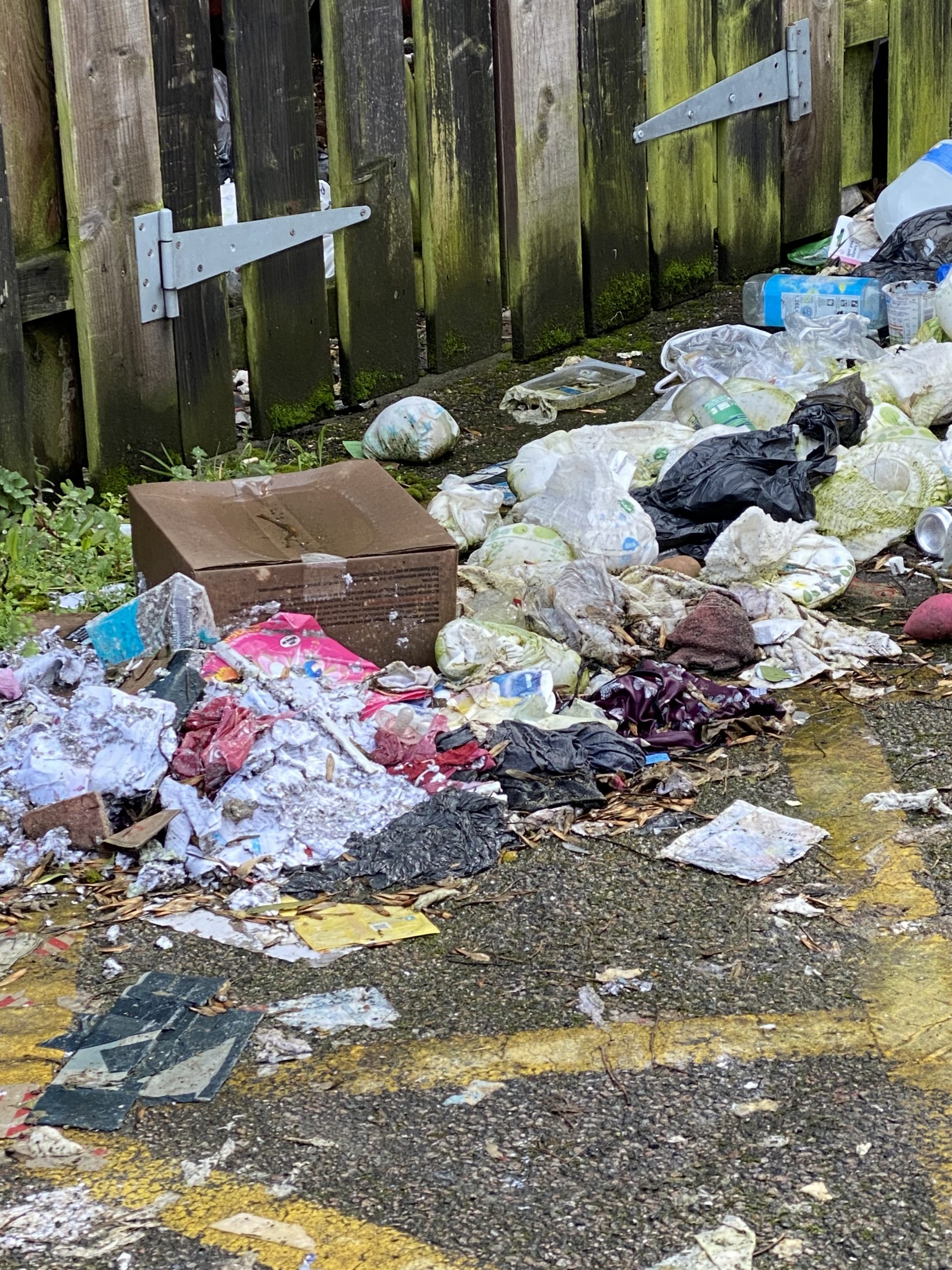 rubbish The Canterbury Society