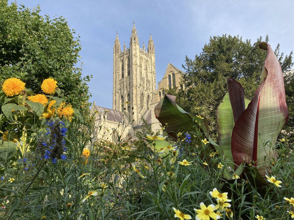 Canterbury Society Annual Green Heritage Talk