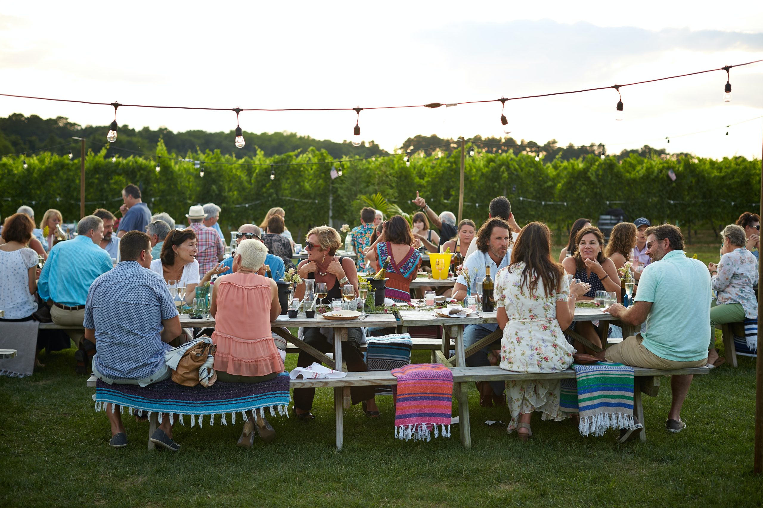 Canterbury Society Summer Party