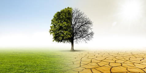 Climate Action Festival