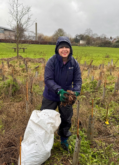Beverley helps plant saplings [in the ‘Miyawaki Forest’] at Kingsmead field